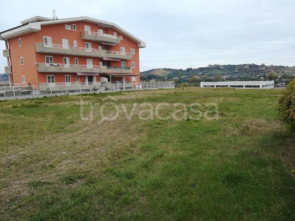 immagine annuncio 1 di 12