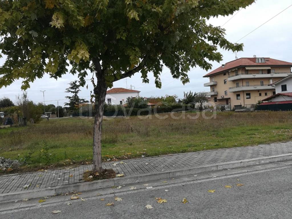 immagine annuncio 9 di 10