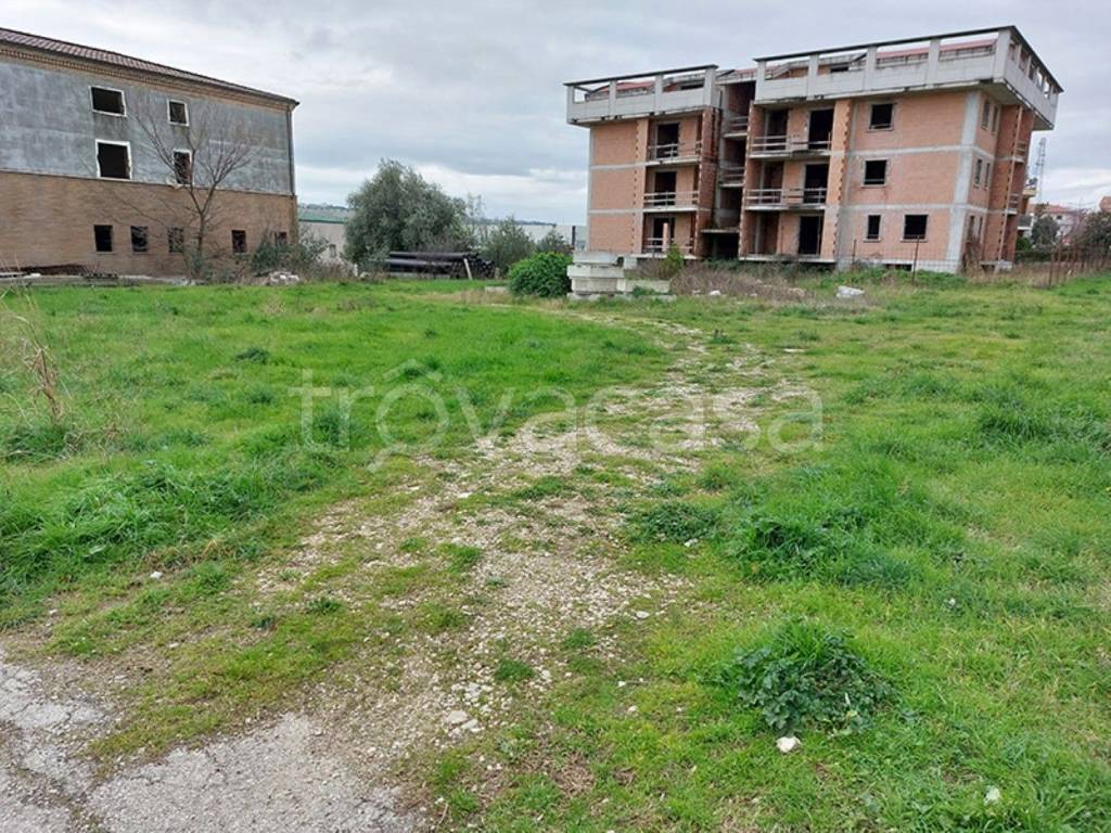 immagine annuncio 2 di 12