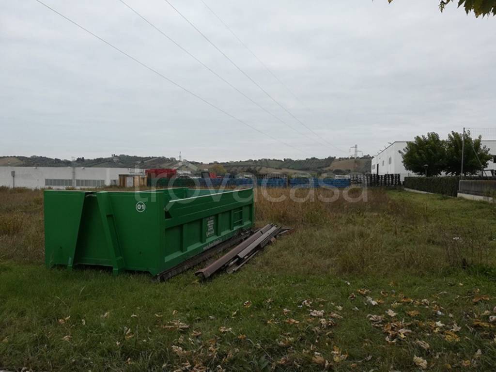 immagine annuncio 1 di 13