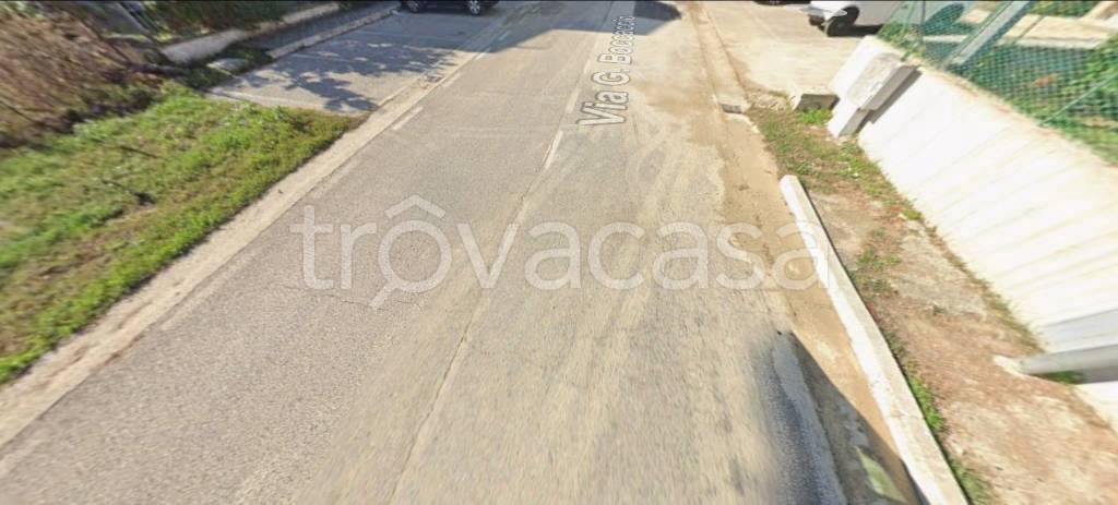 immagine annuncio 12 di 13