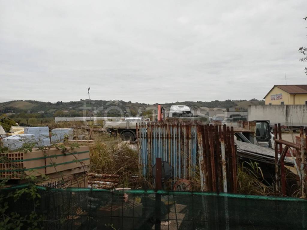 immagine annuncio 1 di 12