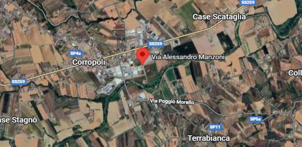 immagine annuncio 4 di 12