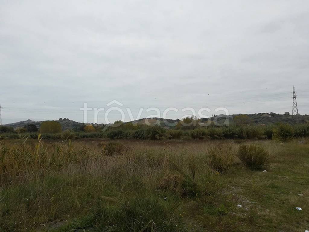 immagine annuncio 8 di 12