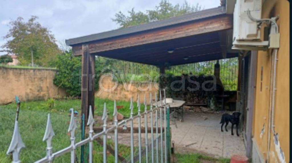 immagine annuncio 3 di 11