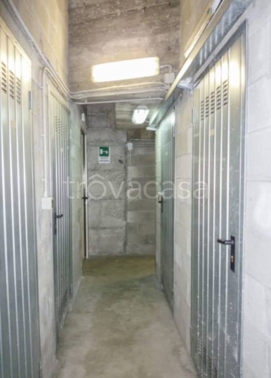 immagine annuncio 9 di 11