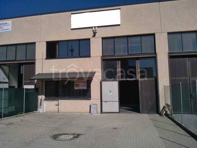 immagine annuncio 1 di 7