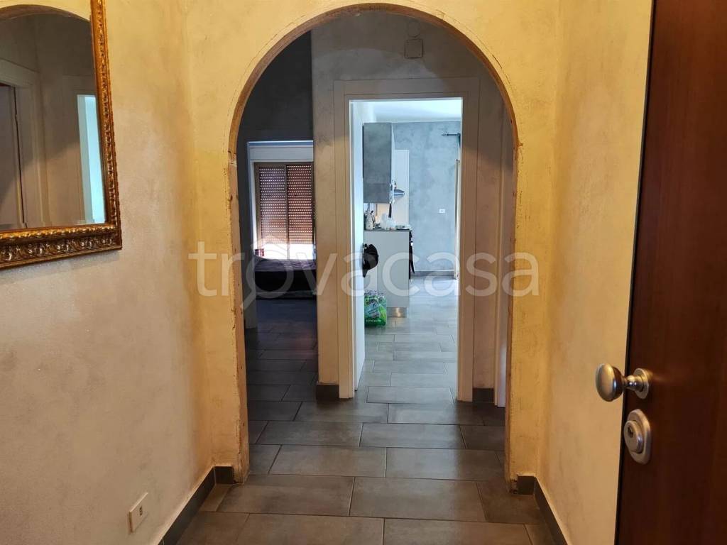 immagine annuncio 6 di 14