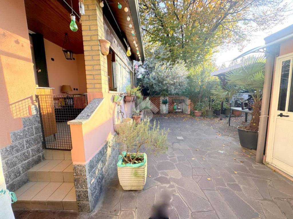 immagine annuncio 3 di 15