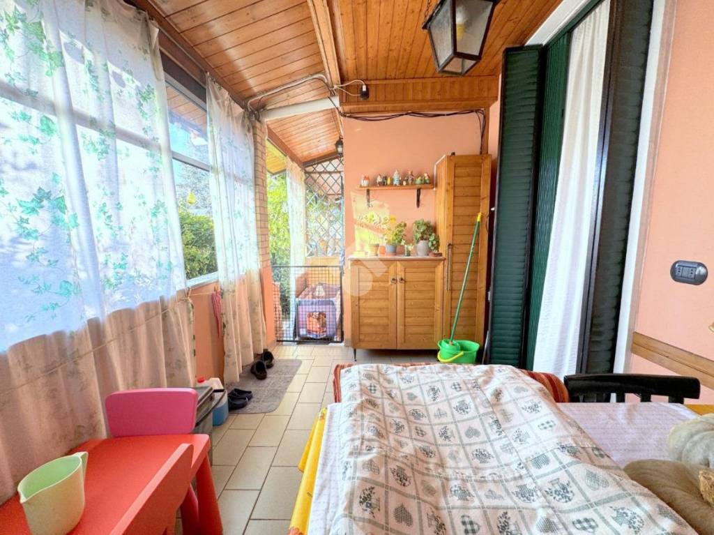 immagine annuncio 9 di 15