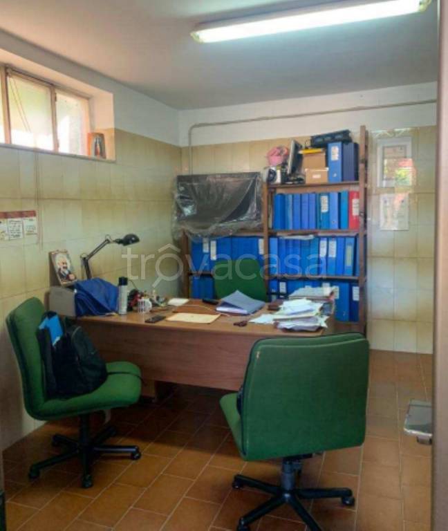 immagine annuncio 6 di 12