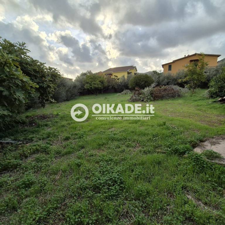 immagine annuncio 1 di 7