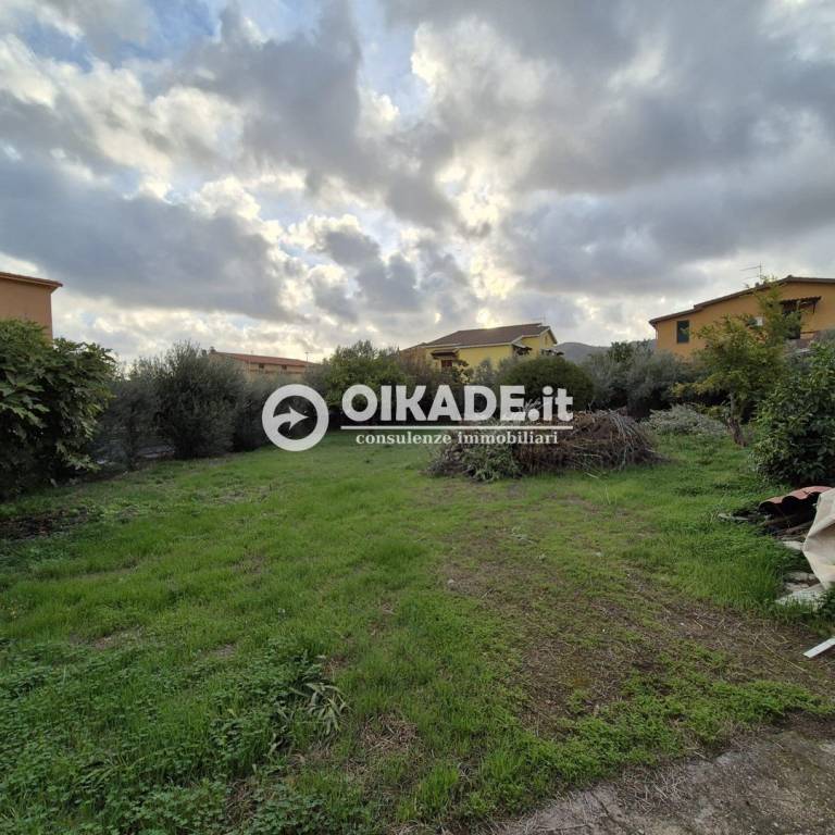 immagine annuncio 2 di 7