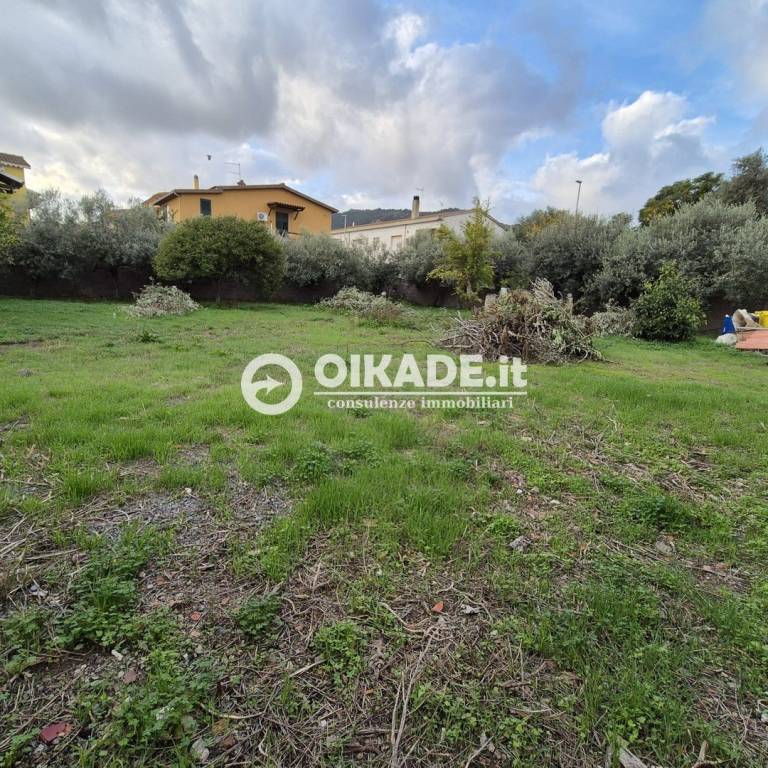 immagine annuncio 5 di 7