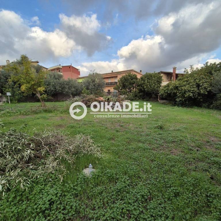 immagine annuncio 6 di 7