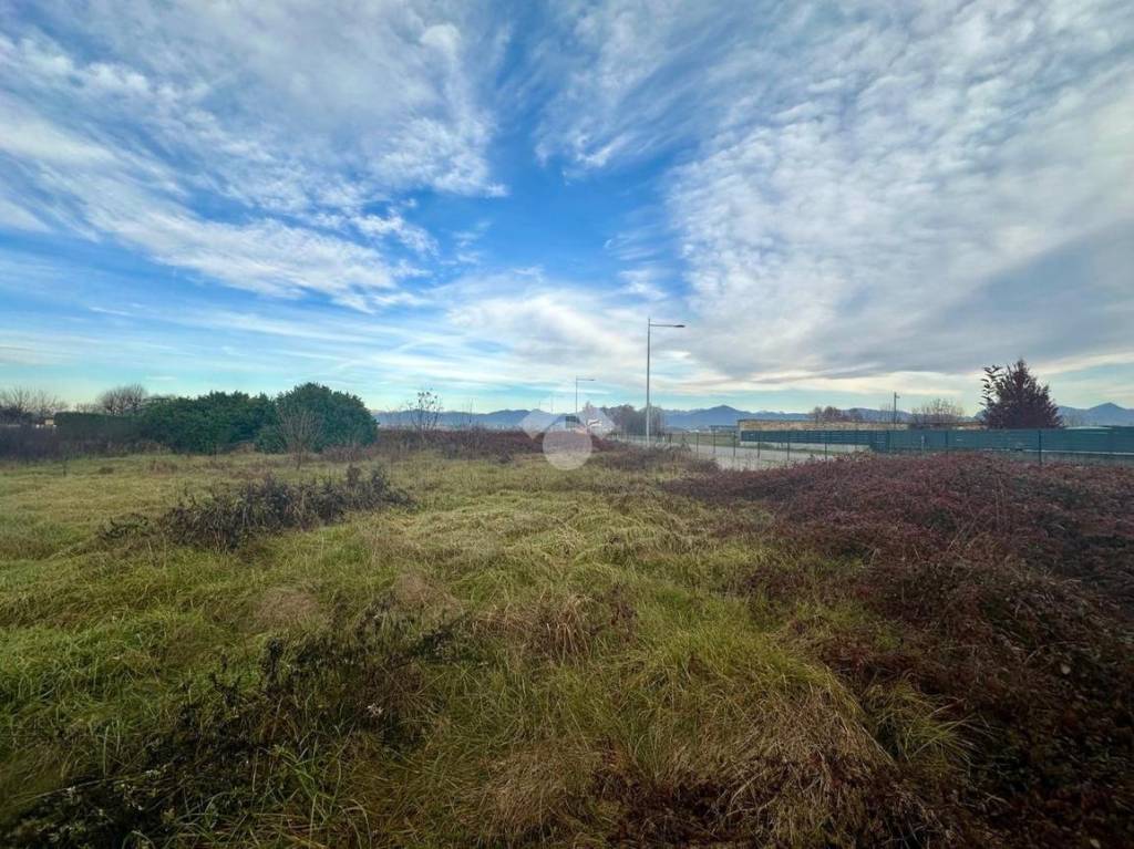 immagine annuncio 1 di 6