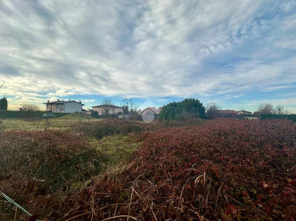 immagine annuncio 4 di 6