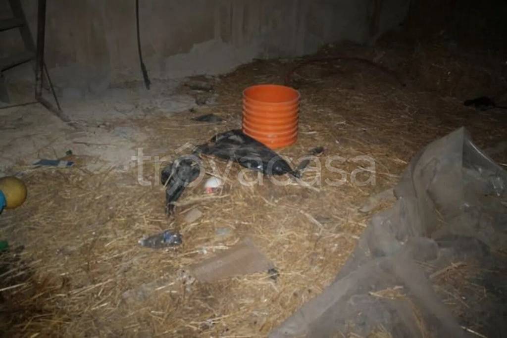 immagine annuncio 2 di 11