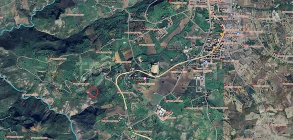 immagine annuncio 1 di 2