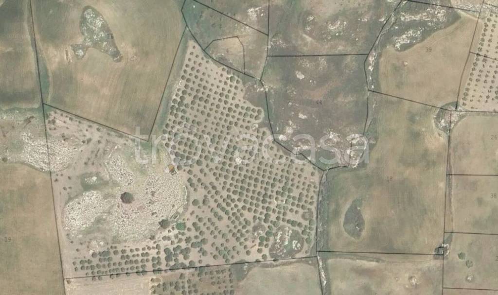 immagine annuncio 8 di 12