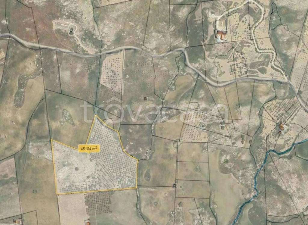 immagine annuncio 11 di 12