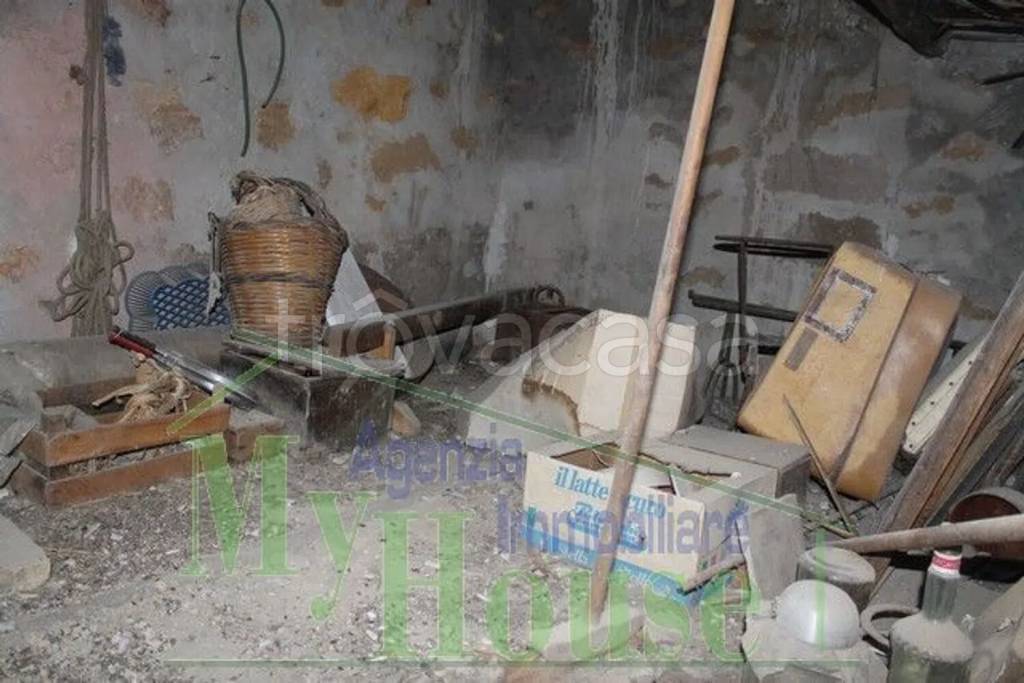 immagine annuncio 9 di 14