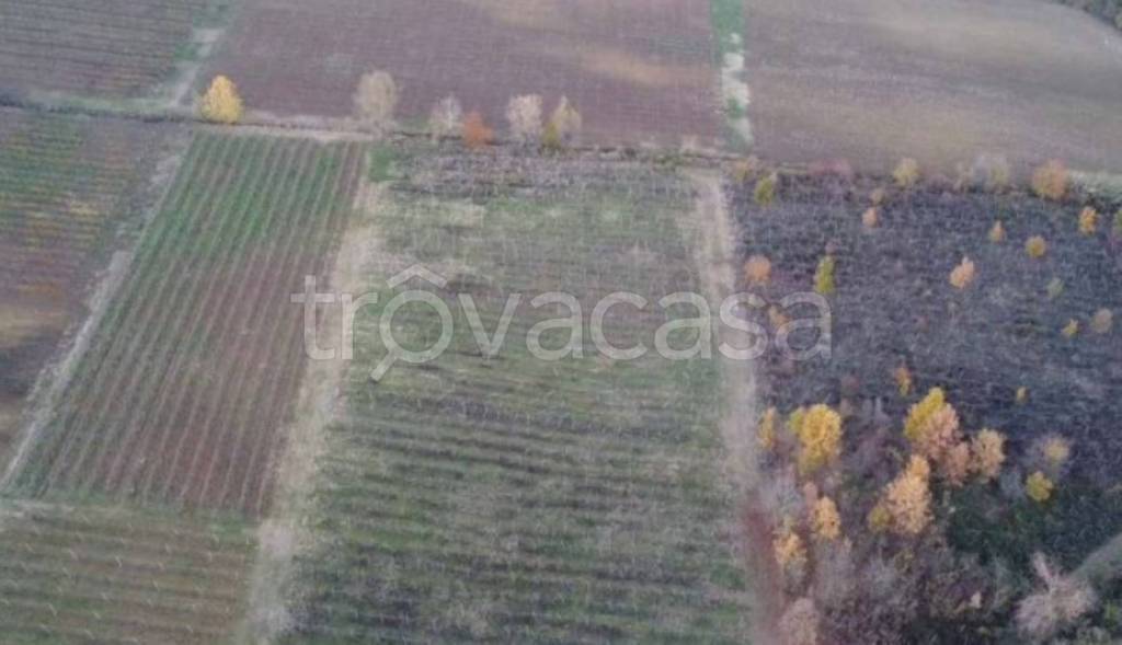 immagine annuncio 8 di 12