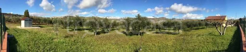 immagine annuncio 5 di 14