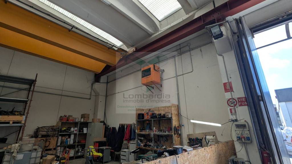 immagine annuncio 9 di 15