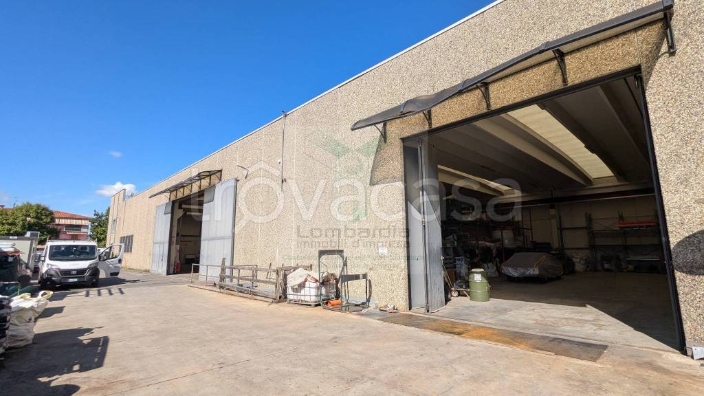 immagine annuncio 1 di 15