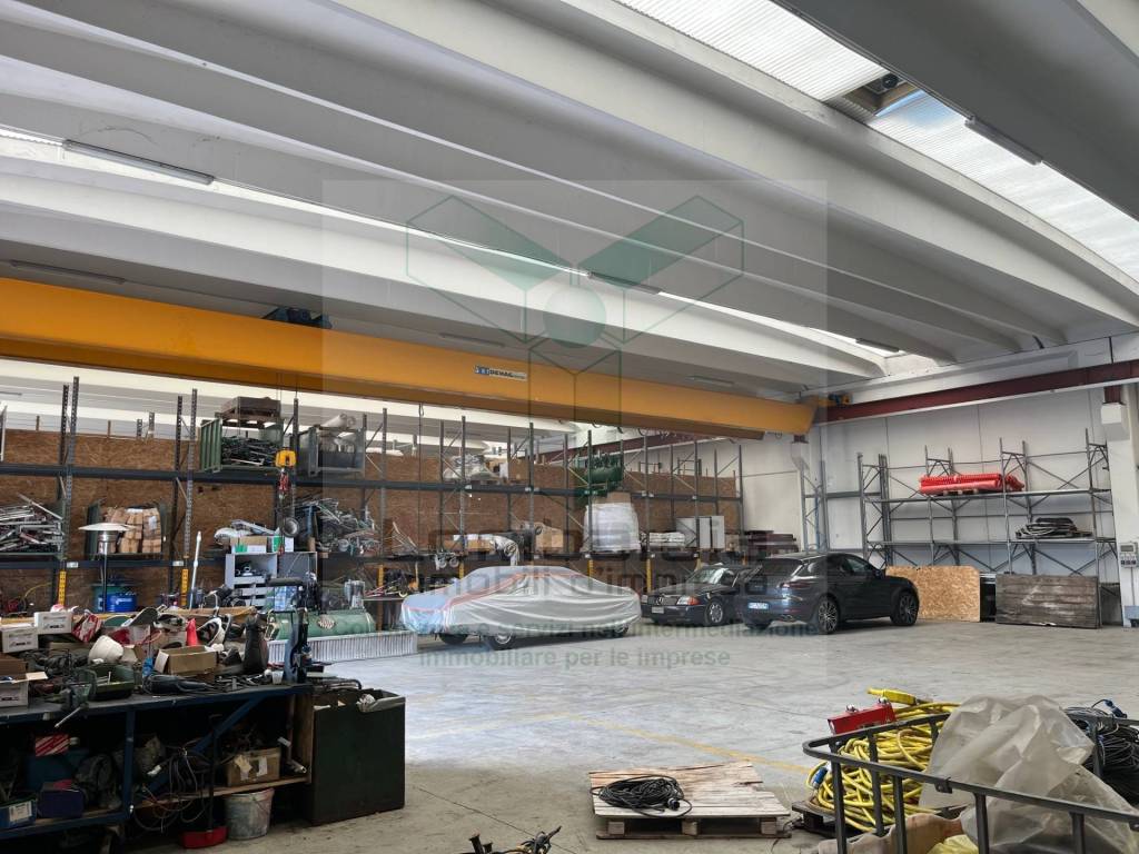 immagine annuncio 5 di 15