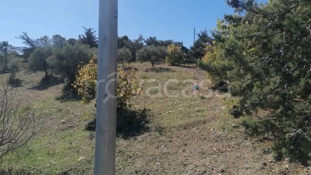 immagine annuncio 6 di 14