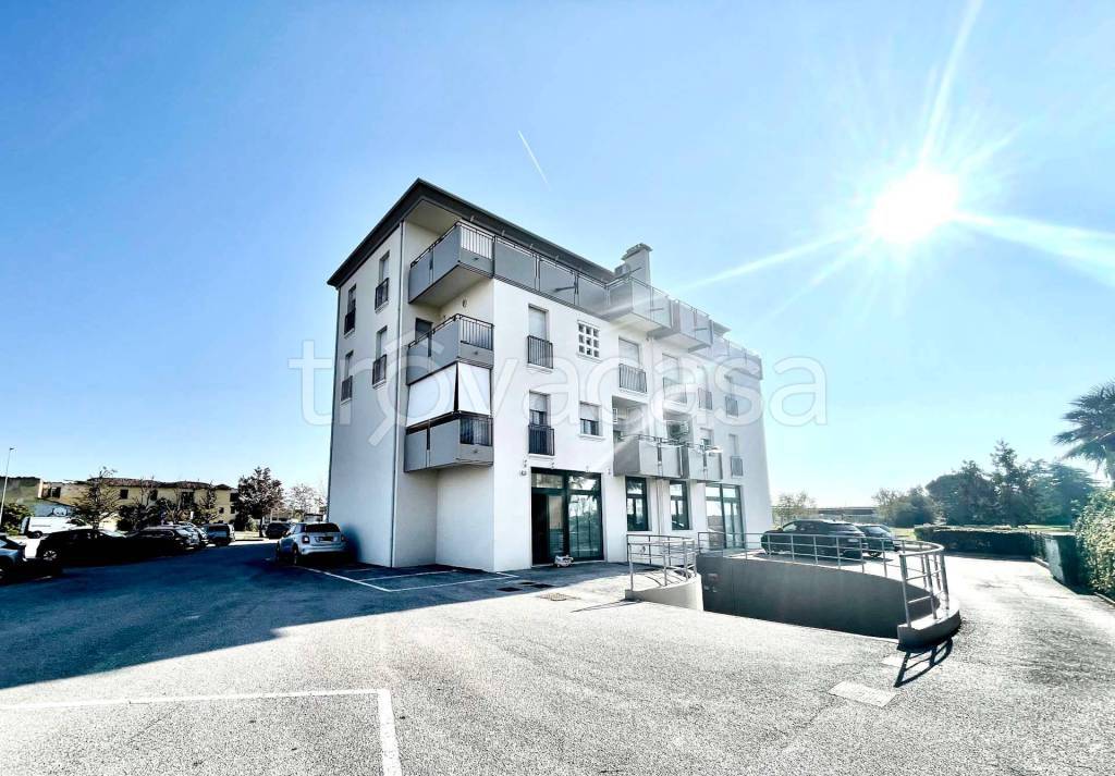 immagine annuncio 7 di 12