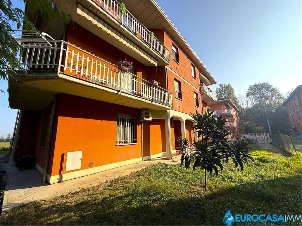 immagine annuncio 3 di 15