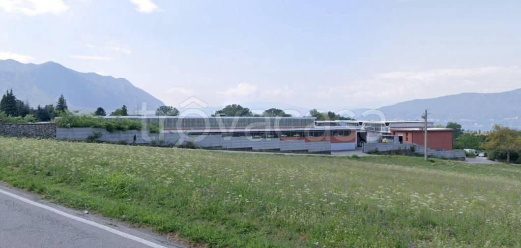 immagine annuncio 1 di 13