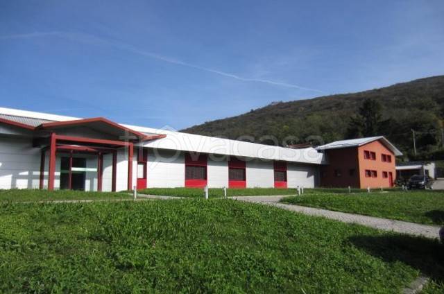 immagine annuncio 3 di 13