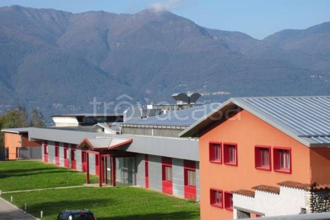 immagine annuncio 4 di 13