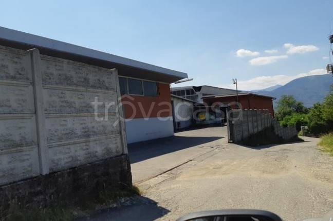 immagine annuncio 7 di 13