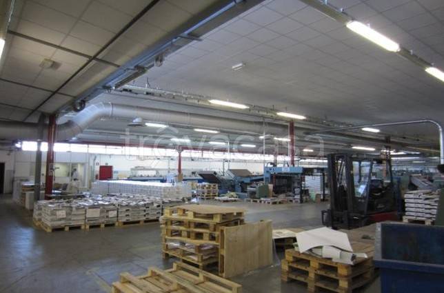 immagine annuncio 10 di 13