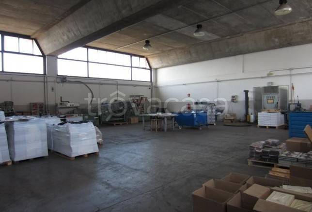 immagine annuncio 11 di 13