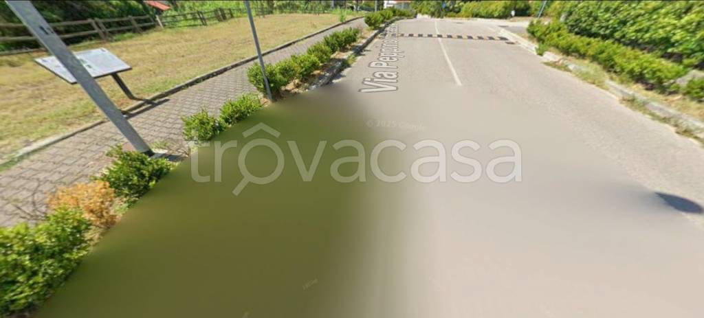 immagine annuncio 6 di 13