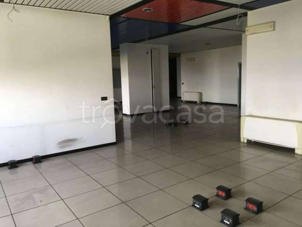 immagine annuncio 5 di 6