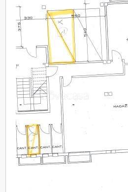 immagine annuncio 9 di 12