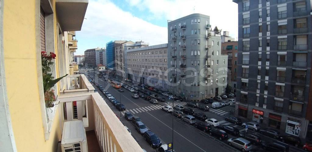 immagine annuncio 2 di 4