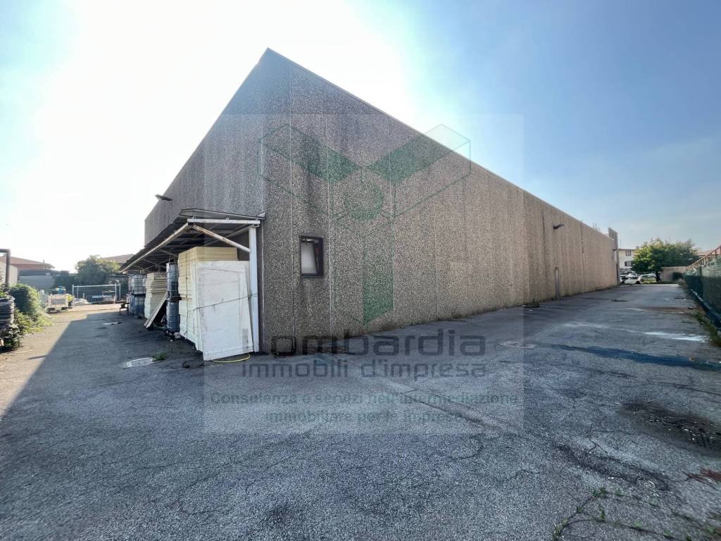 immagine annuncio 11 di 15