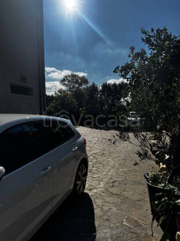 immagine annuncio 4 di 8