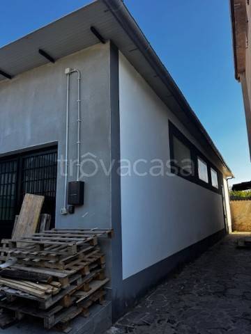 immagine annuncio 6 di 8