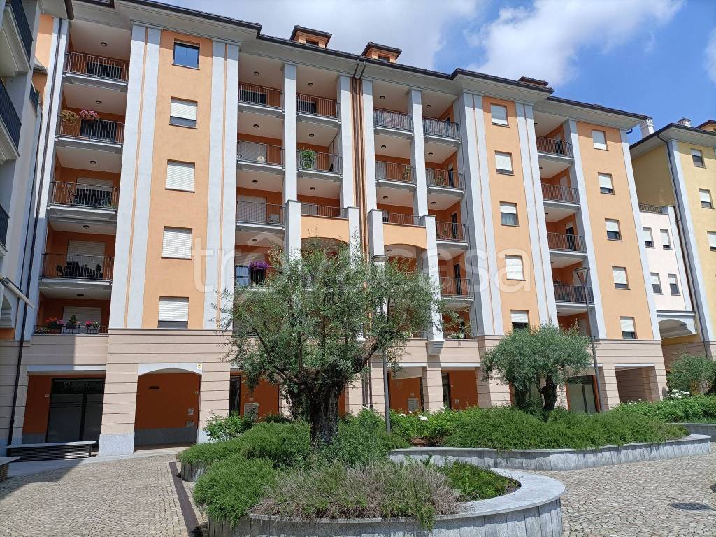 immagine annuncio 1 di 15