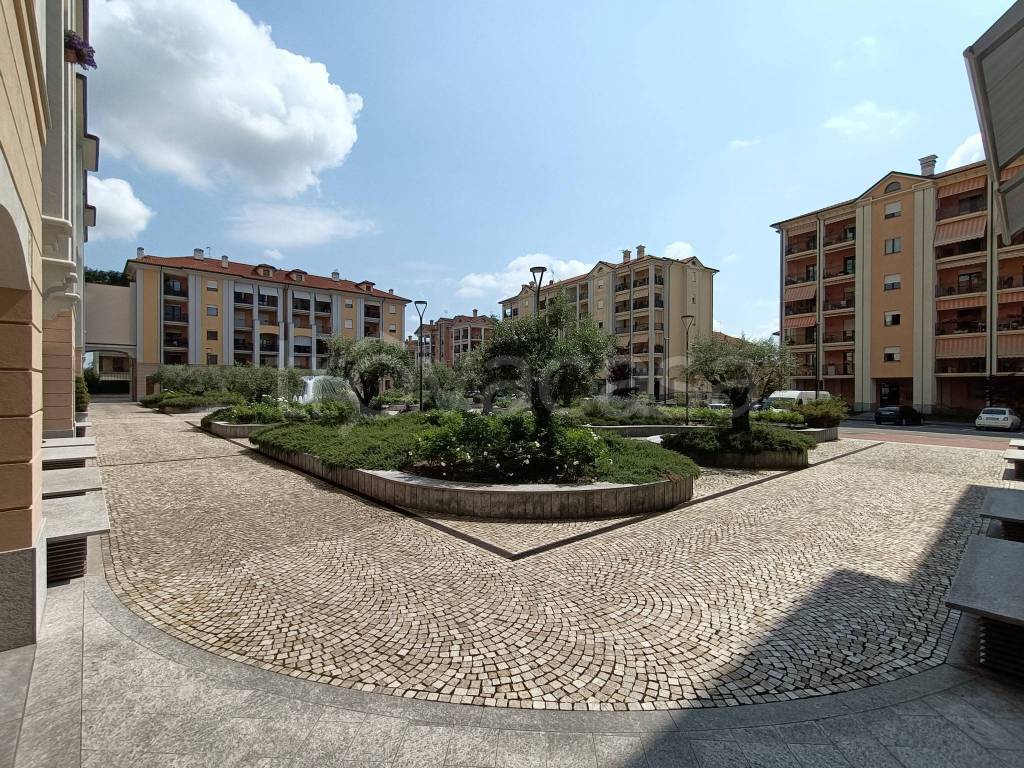 immagine annuncio 10 di 15