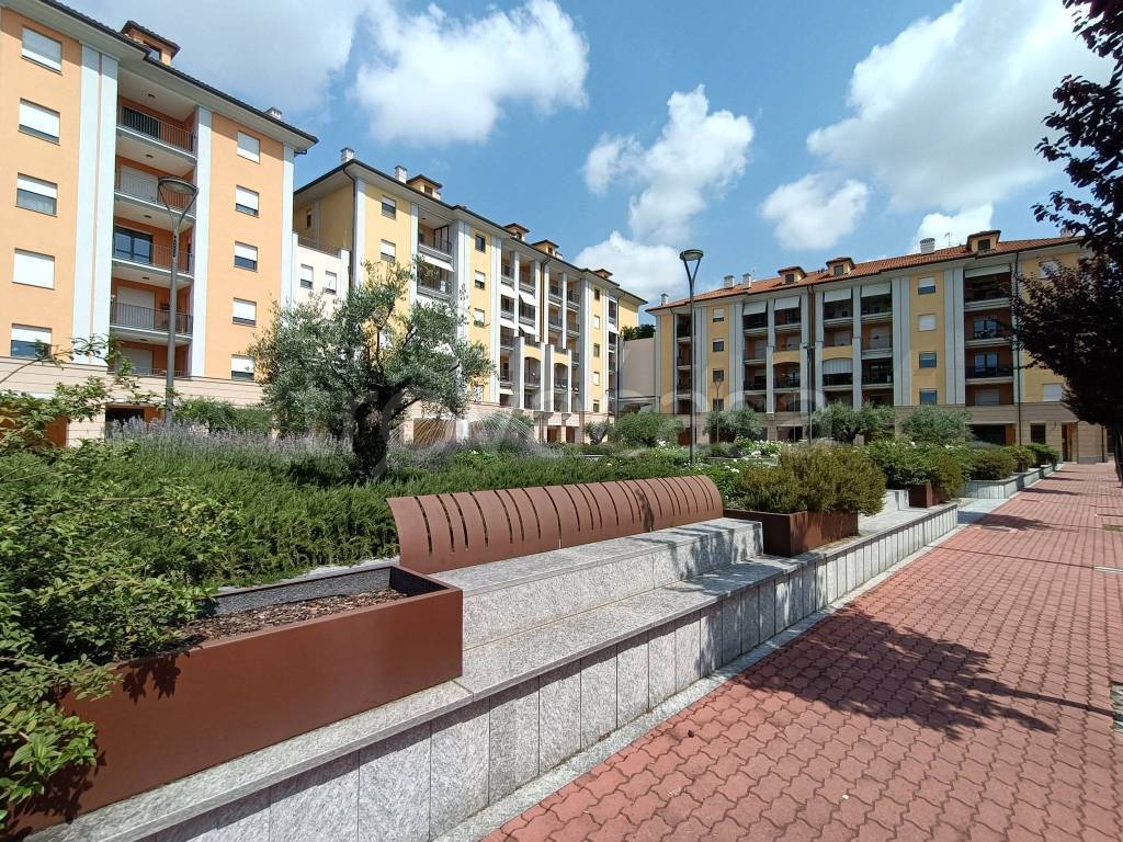 immagine annuncio 13 di 15